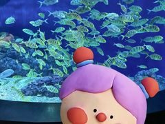 -成都浩海立方海洋公园