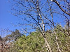 -沈阳辉山风景区
