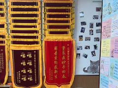-瑞派中心宠物医院·CT·核磁·神经专科