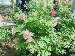 -洛阳市隋唐城遗址植物园