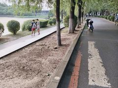 -丁香湖公园