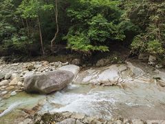 -大鄣山卧龙谷景区