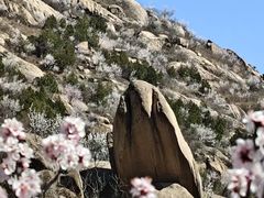 -北京凤凰岭