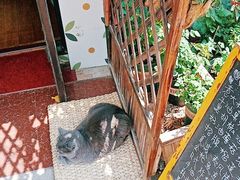 -Rabbit Cafe私房西餐甜点咖啡(栖霞路店)