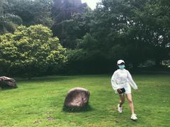 -金鸡山公园