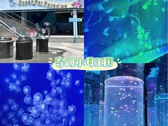 -海合安武汉极地海洋公园