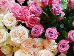 -森野花艺培训·企业团建活动沙龙