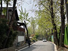 -三圣花乡旅游区