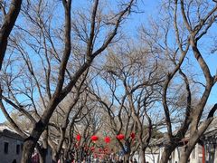 -北京国子监胡同