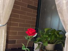 -安德烈俄式西餐厅(中央大街店)