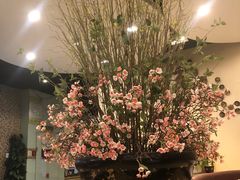 -黑松白鹿(崇文门新活馆店)
