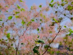 -周口店坡峰岭风景区