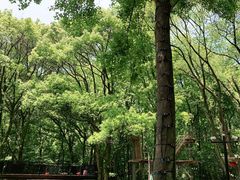 -WeLope紫金山探险公园