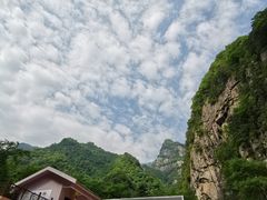 -青峰峡国家森林公园