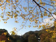 -塔川景区