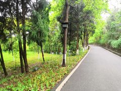 -富乐山