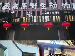 -青藏高原野生动物园