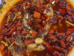 麻辣牛蛙-簋街仔仔小龙虾(总店)