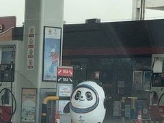 -中国石油加油站(中博加油站)