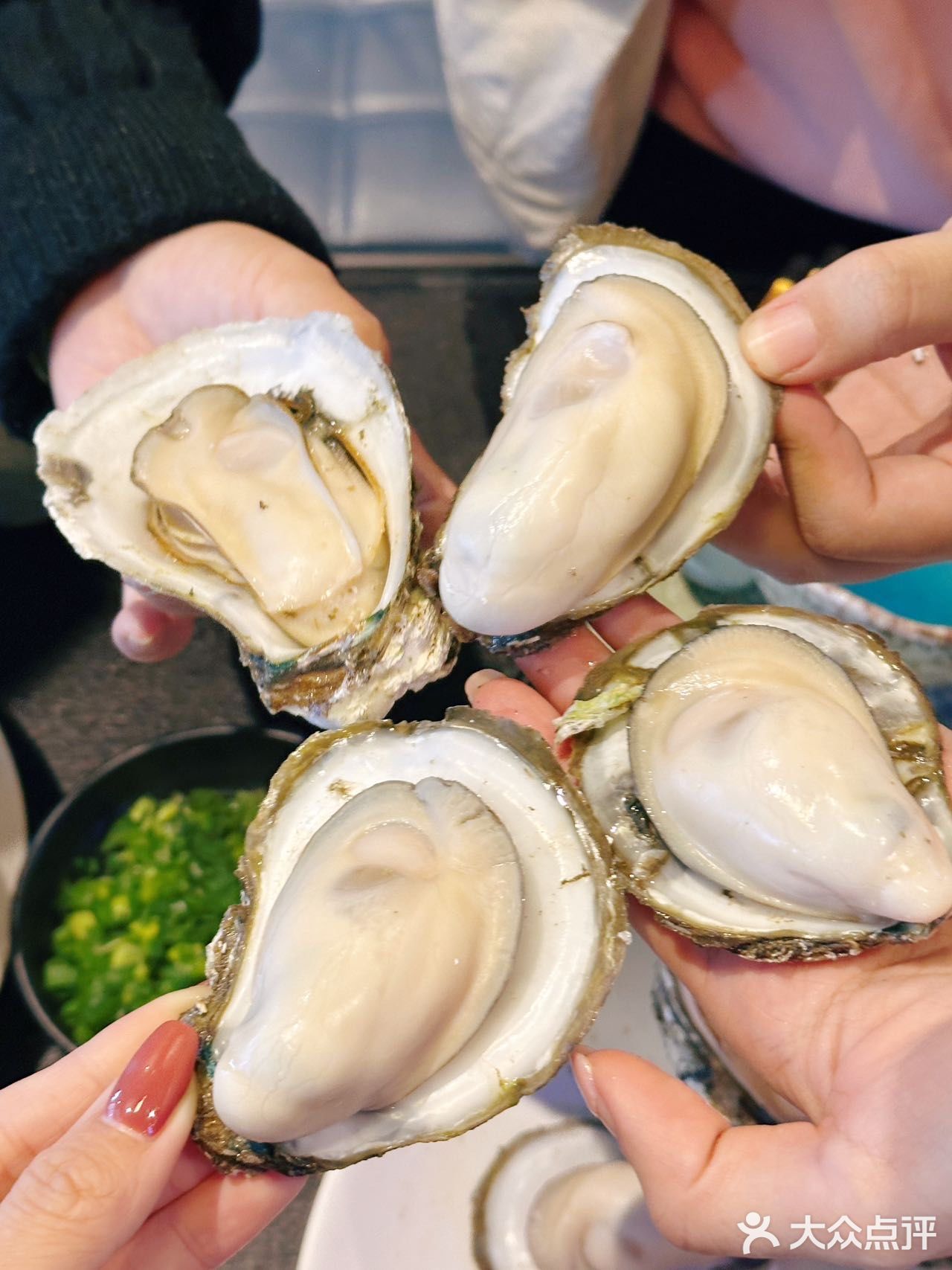 阳江🦪这家店的蚝粒粒好吃又大颗你敢信⁉️