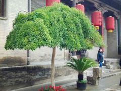 android_upload_pic-山西王家大院