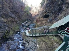 -凤凰山国家森林公园