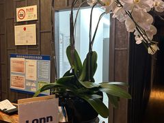 -LANN l 蘭 泰式古法按摩(宝山日月光店)