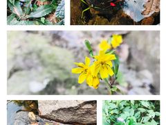 -溪口-滕头旅游景区