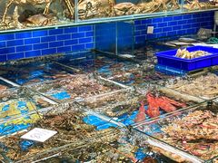 -船奇蒸汽海鲜·闽菜(八市海鲜总店)