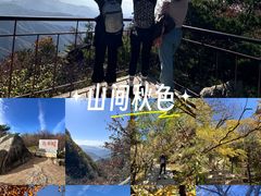 -王顺山国家森林公园