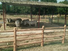 -西安秦岭野生动物园