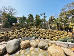 -胡里山炮台