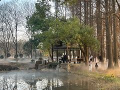 -东湖落雁景区