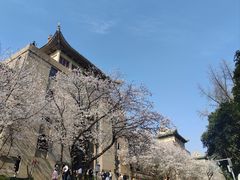 -武汉大学-樱园