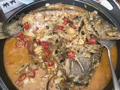 -洞庭家宴·头牌甲鱼(广渠门店)