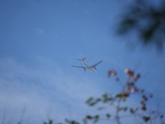 -上海海事大学(临港校区)