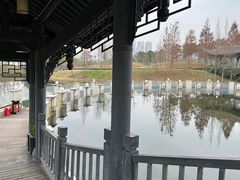 -眉山湿地公园(东坡区)