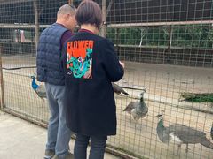 -韶关经律论国际酒店温泉