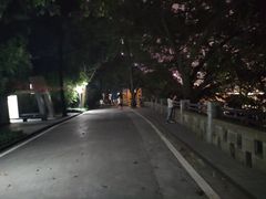 -一只酸奶牛(八一路店)