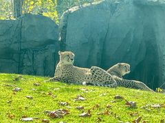 -北京野生动物园