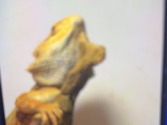 -嘉兴海底世界