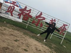 -贡格尔草原