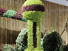 -杭州植物园
