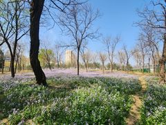 -将府公园