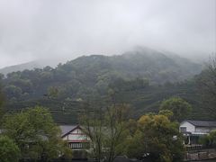 -龙井村