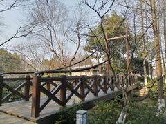-青枫公园
