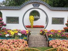 -上海共青森林公园