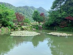 -中国茶叶博物馆(双峰馆区)