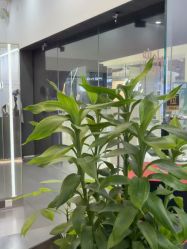 -CIT造型·烫发·染发