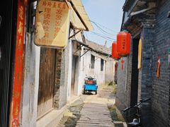 -溱湖国家湿地公园